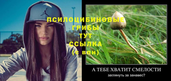 кокаин Пестово