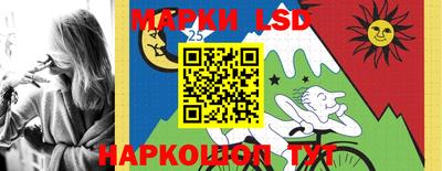Альфа ПВП Донецк