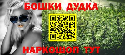spice Дубна
