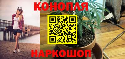Альфа ПВП Донецк