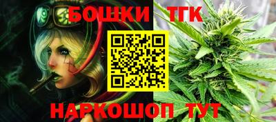spice Дубна