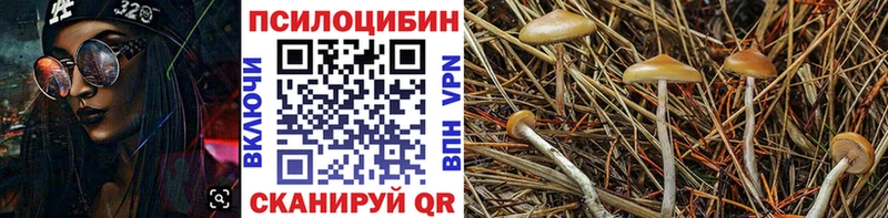 где купить наркоту  это официальный сайт  Галлюциногенные грибы GOLDEN TEACHER  Муравленко  мега ССЫЛКА 