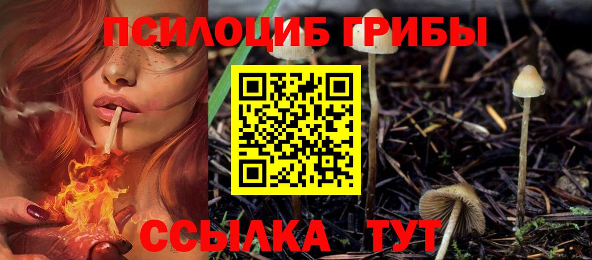 Галлюциногенные грибы мицелий  Галлюциногенные грибы MAGIC MUSHROOMS  Муравленко 